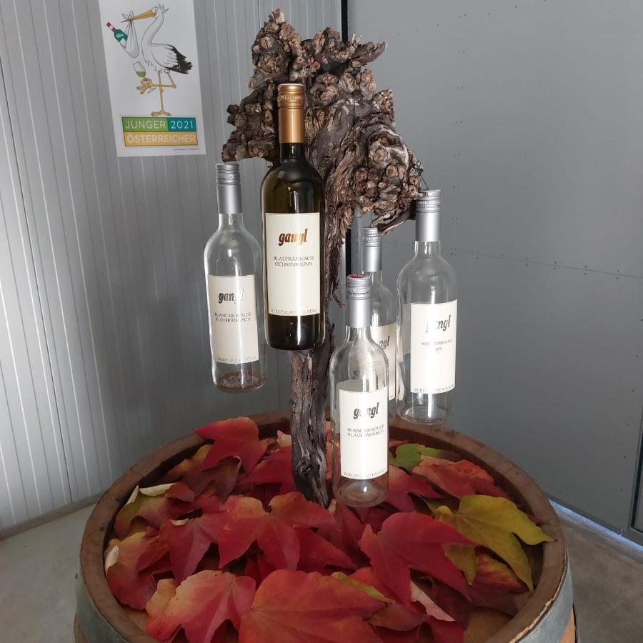 אילמיץ Weingut Apartment Hildegard Gangl מראה חיצוני תמונה
