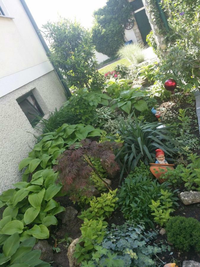 אילמיץ Weingut Apartment Hildegard Gangl מראה חיצוני תמונה